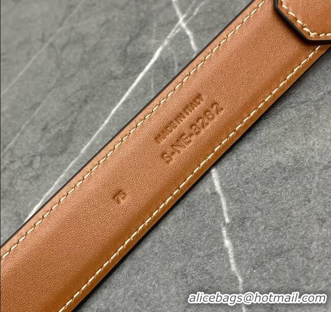 Classic Specials Celine Belt Bag Triomphe Belt in Triomphe Canvas and Calfskin 101555 Tan 2024 Top