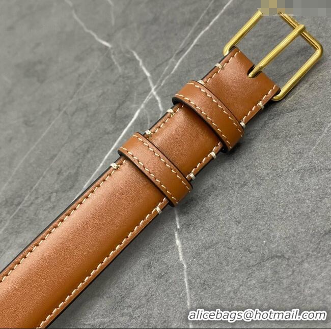 Classic Specials Celine Belt Bag Triomphe Belt in Triomphe Canvas and Calfskin 101555 Tan 2024 Top