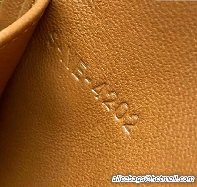 Classic Specials Celine Belt Bag Triomphe Belt in Triomphe Canvas and Calfskin 101555 Tan 2024 Top