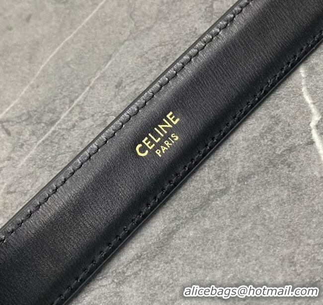 Original Cheap Celine Belt Bag Triomphe Belt in Shiny Calfskin 101555 Black 2024 Top