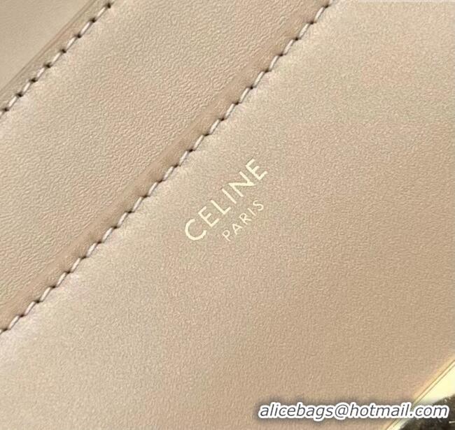 Top Quality Celine Small 16 Bag in Calfskin with Two Strap 188003 Nude 2024 (Top)