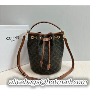 New Cheap Celine Clara Bucket bag in Triomphe Canvas and Calfskin 116882 Brown 2024