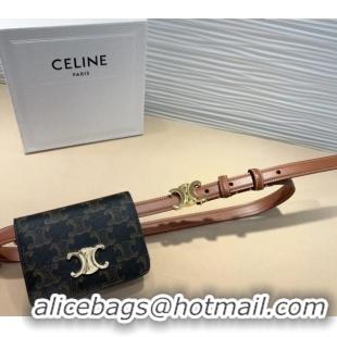 Best Price Celine Trapeze Triomphe Canvas Card Wallet Pouch Belt 0708 2024
