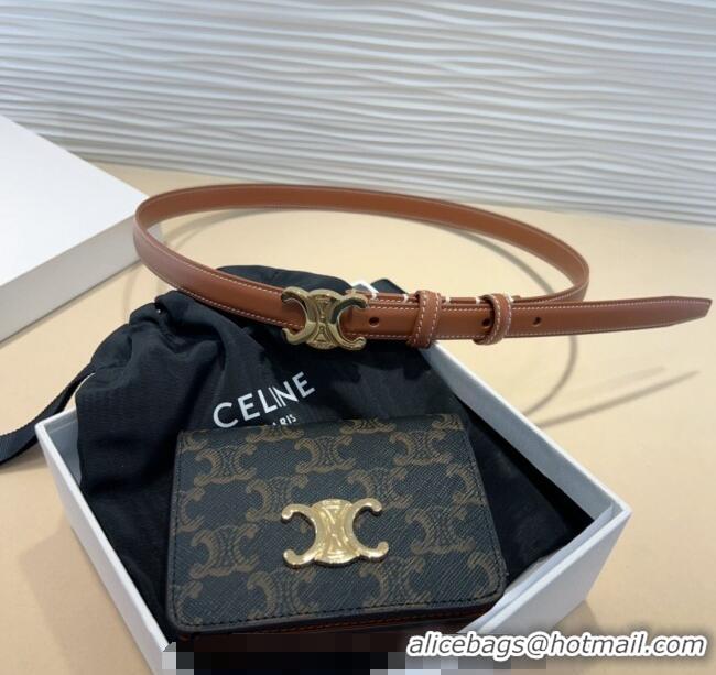 Best Price Celine Trapeze Triomphe Canvas Card Wallet Pouch Belt 0708 2024