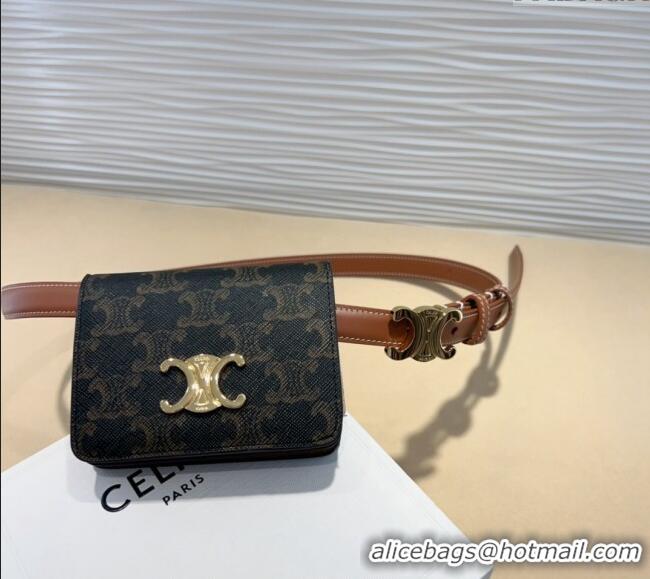 Best Price Celine Trapeze Triomphe Canvas Card Wallet Pouch Belt 0708 2024