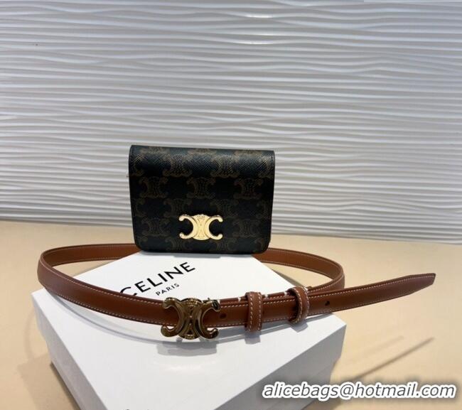 Best Price Celine Trapeze Triomphe Canvas Card Wallet Pouch Belt 0708 2024