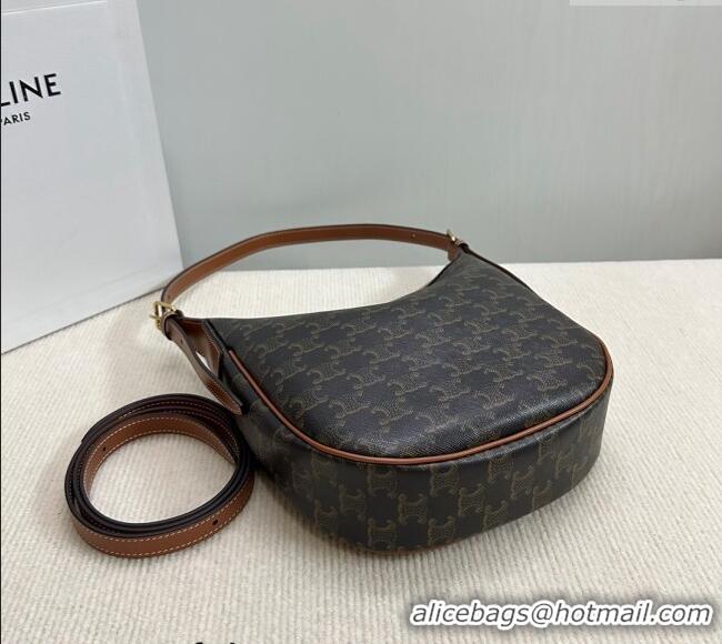 Best Price Celine Small Heloise Hobo Bag in Triomphe Canvas 117252 2024