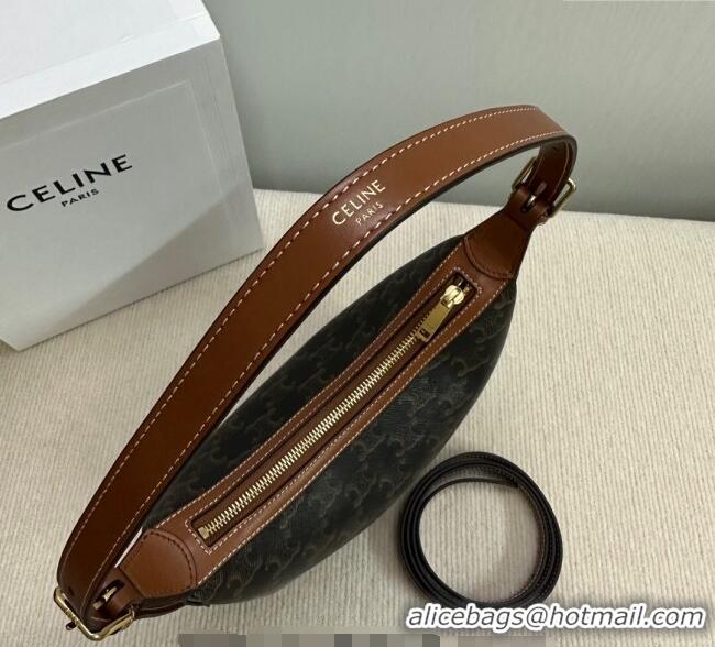 Best Price Celine Small Heloise Hobo Bag in Triomphe Canvas 117252 2024