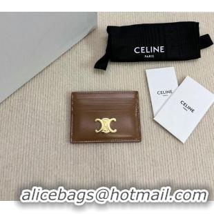 Modern Classic Celine Card Holder Wallet Triomphe in Shiny Calfskin 10L833 Brown 2024