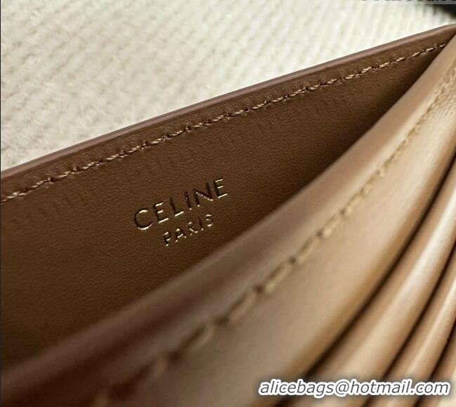 Modern Classic Celine Card Holder Wallet Triomphe in Shiny Calfskin 10L833 Brown 2024