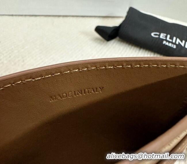 Modern Classic Celine Card Holder Wallet Triomphe in Shiny Calfskin 10L833 Brown 2024