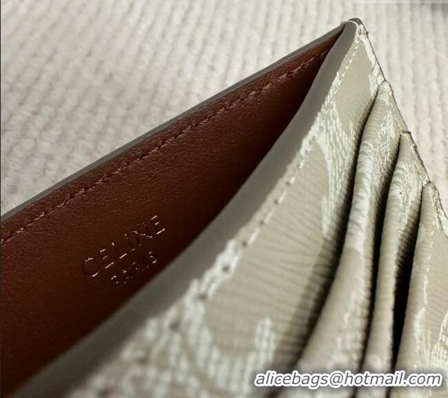 Buy Cheapest Celine Card Holder Wallet in Triomphe Canvas 10L832 Beige 2024