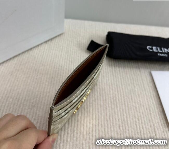 Buy Cheapest Celine Card Holder Wallet in Triomphe Canvas 10L832 Beige 2024