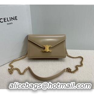 New Cheap Celine Wallet on Chain Mini Bag Triomphe in Shiny Calfskin 10L033 Grey 2024