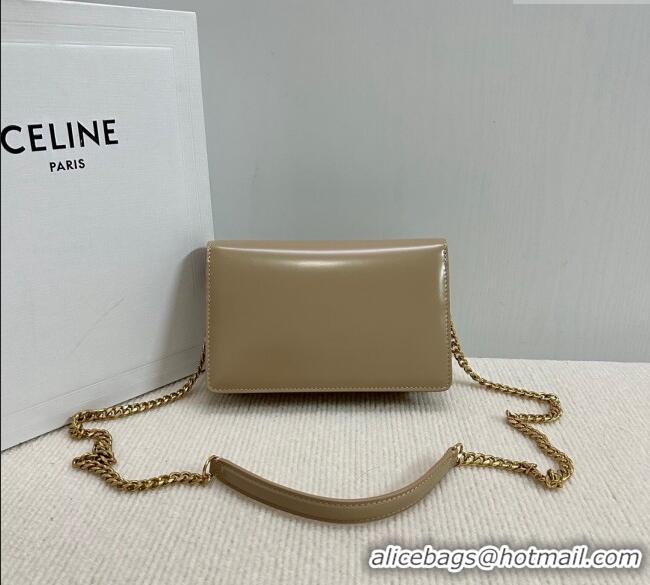 New Cheap Celine Wallet on Chain Mini Bag Triomphe in Shiny Calfskin 10L033 Grey 2024