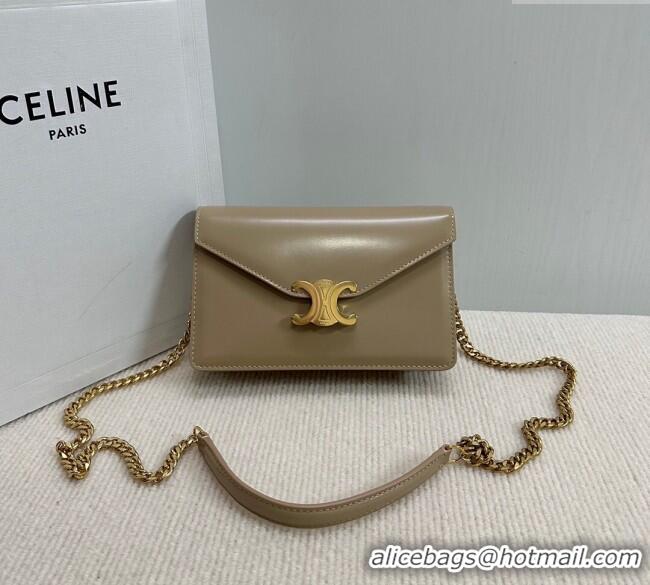 New Cheap Celine Wallet on Chain Mini Bag Triomphe in Shiny Calfskin 10L033 Grey 2024