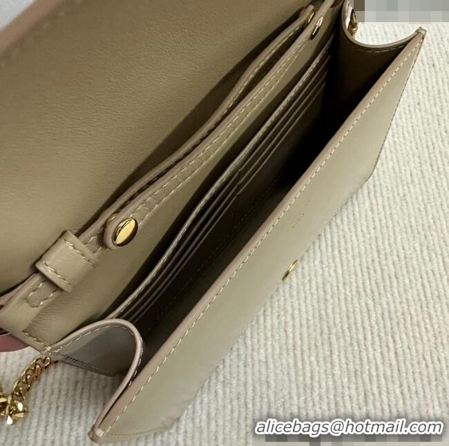 New Cheap Celine Wallet on Chain Mini Bag Triomphe in Shiny Calfskin 10L033 Grey 2024