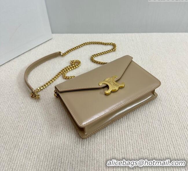 New Cheap Celine Wallet on Chain Mini Bag Triomphe in Shiny Calfskin 10L033 Grey 2024