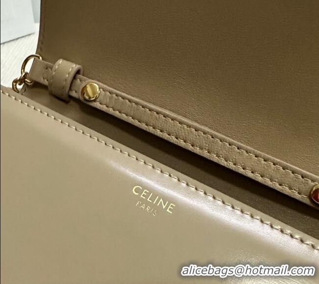 New Cheap Celine Wallet on Chain Mini Bag Triomphe in Shiny Calfskin 10L033 Grey 2024