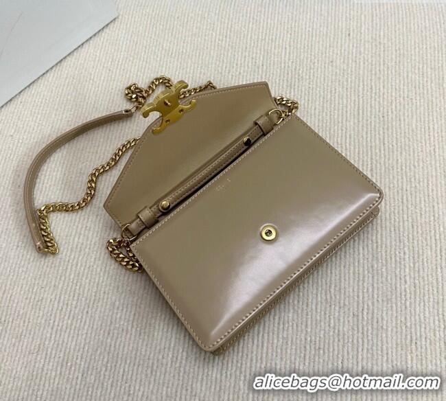 New Cheap Celine Wallet on Chain Mini Bag Triomphe in Shiny Calfskin 10L033 Grey 2024