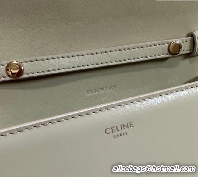Well Crafted Celine Wallet on Chain Mini Bag Triomphe in Shiny Calfskin 10L033 Pale Stone 2024