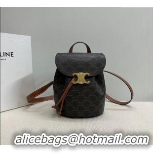 Good Looking Celine Backpack Bonnie Bag in Triomphe Canvas and Calfskin 118702 2025