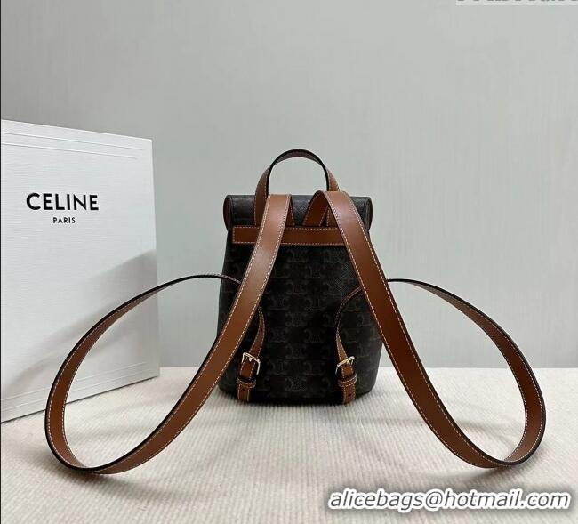 Good Looking Celine Backpack Bonnie Bag in Triomphe Canvas and Calfskin 118702 2025