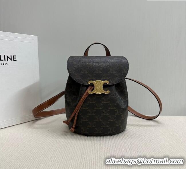 Good Looking Celine Backpack Bonnie Bag in Triomphe Canvas and Calfskin 118702 2025