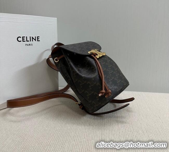 Good Looking Celine Backpack Bonnie Bag in Triomphe Canvas and Calfskin 118702 2025