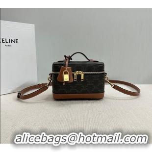 Modern Discount Celine Vanity Bag in Triomphe Canvas Calfskin 119463 Brown 2025