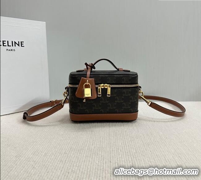 Modern Discount Celine Vanity Bag in Triomphe Canvas Calfskin 119463 Brown 2025