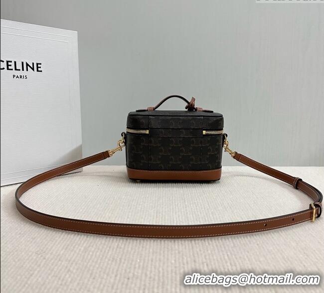 Modern Discount Celine Vanity Bag in Triomphe Canvas Calfskin 119463 Brown 2025