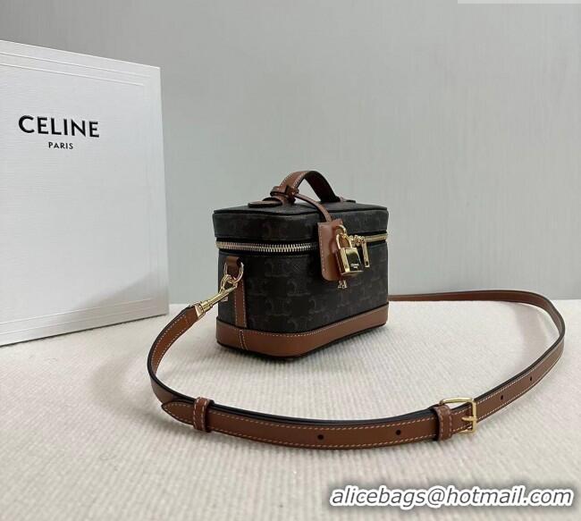 Modern Discount Celine Vanity Bag in Triomphe Canvas Calfskin 119463 Brown 2025