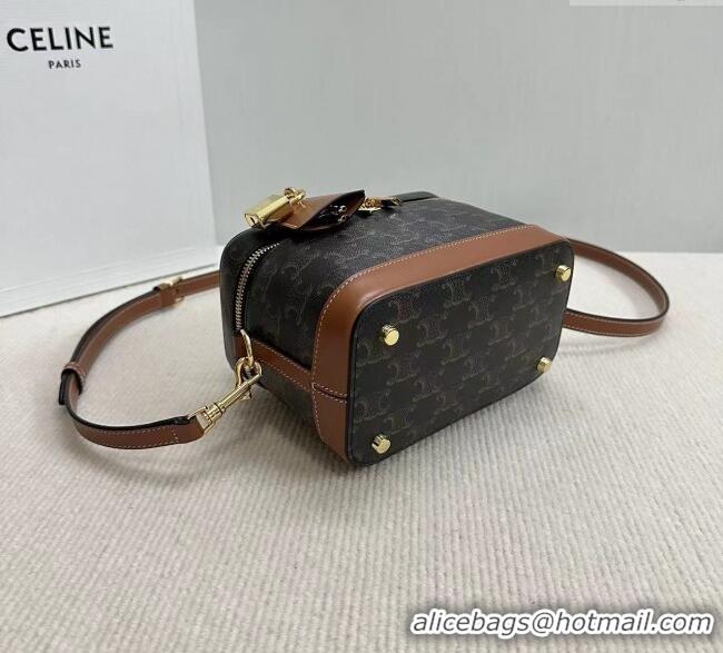 Modern Discount Celine Vanity Bag in Triomphe Canvas Calfskin 119463 Brown 2025