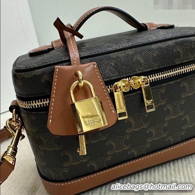 Modern Discount Celine Vanity Bag in Triomphe Canvas Calfskin 119463 Brown 2025