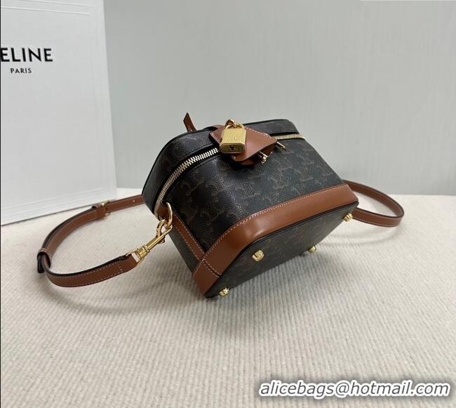 Modern Discount Celine Vanity Bag in Triomphe Canvas Calfskin 119463 Brown 2025