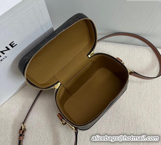 Modern Discount Celine Vanity Bag in Triomphe Canvas Calfskin 119463 Brown 2025