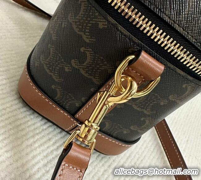 Modern Discount Celine Vanity Bag in Triomphe Canvas Calfskin 119463 Brown 2025