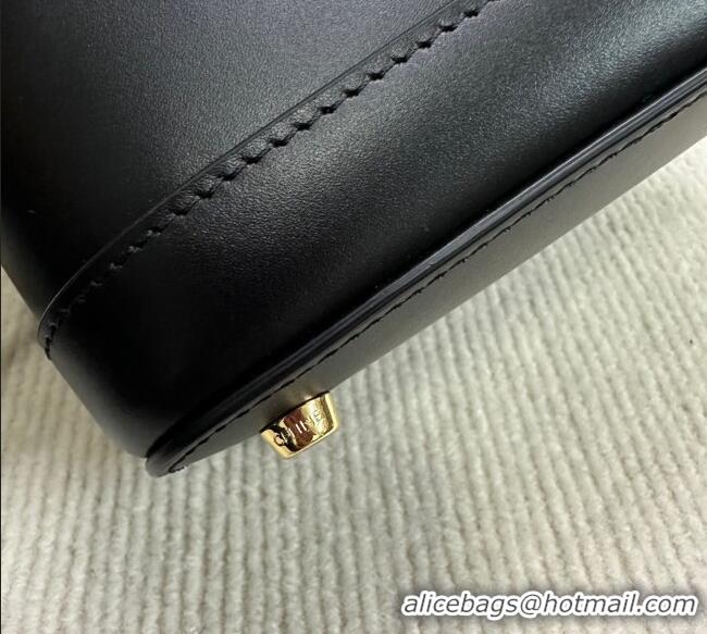 Buy Classic Celine Vanity Bag in Natural Calfskin 119463 Black 2025