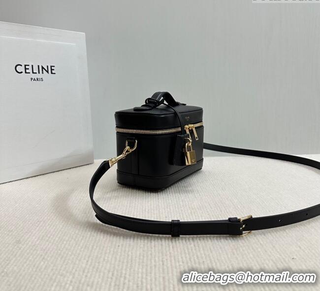 Buy Classic Celine Vanity Bag in Natural Calfskin 119463 Black 2025