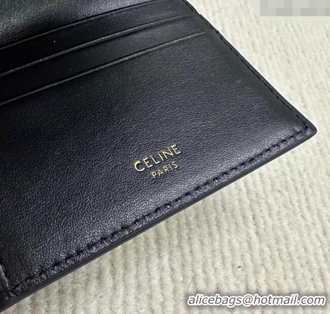 Top Design Celine Small Trifold Wallet 16 in Satinated Calfskin 10F523 Black 2025