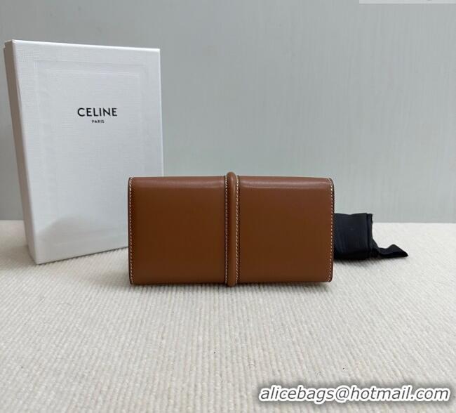 Best Price Celine Large Wallet 16 in Satinated Calfskin 10M033 Brown 2025