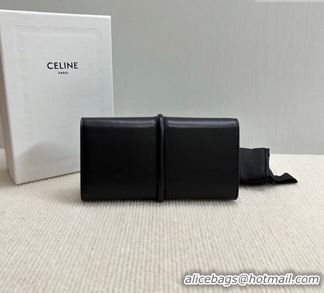 Inexpensive Celine Large Wallet 16 in Satinated Calfskin 10M033 Black 2025