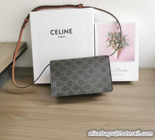 Buy Classic Celine Wallet on Strap Mini Bag in Triomphe Canvas and Lambskin 10D852 Brown 2025