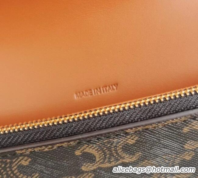 Buy Classic Celine Wallet on Strap Mini Bag in Triomphe Canvas and Lambskin 10D852 Brown 2025