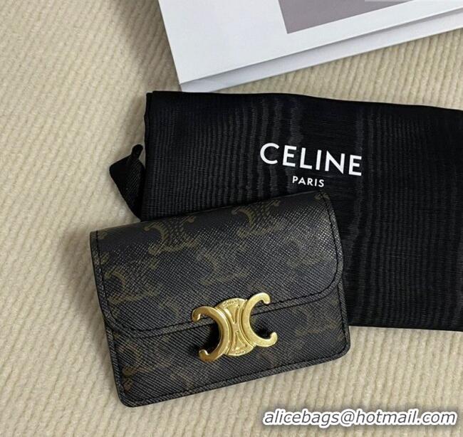 Pretty Style Celine Triomphe Canvas Card Case Wallet 10L582 Brown 2025