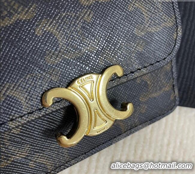 Pretty Style Celine Triomphe Canvas Card Case Wallet 10L582 Brown 2025