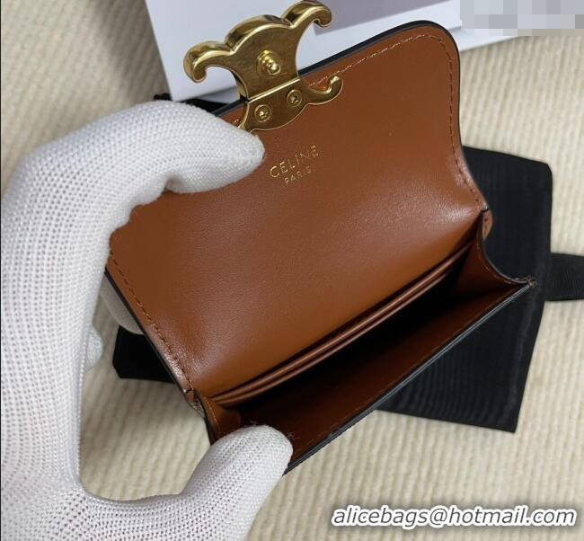 Pretty Style Celine Triomphe Canvas Card Case Wallet 10L582 Brown 2025