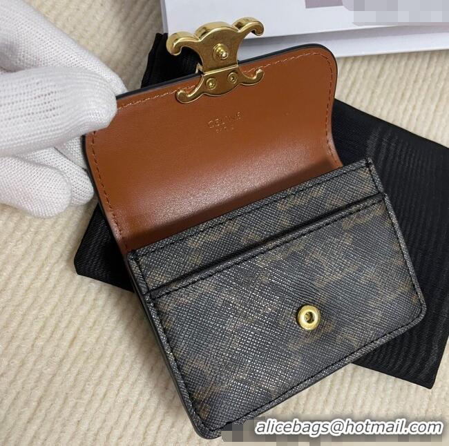 Pretty Style Celine Triomphe Canvas Card Case Wallet 10L582 Brown 2025