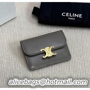 Good Looking Celine Triomphe Card Case Wallet 10L583 Grey 2025